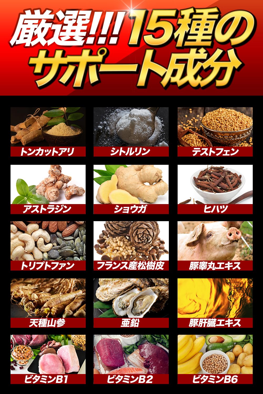 Amazon | 獣王BEAST クラチャイダム トンカットアリ すっぽん